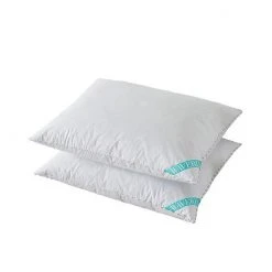 Waverly White Goose Nano Feather 2-pack Pillow Set